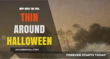 Why the Veil Between Worlds Thins Around Halloween: Unveiling the Mystery
