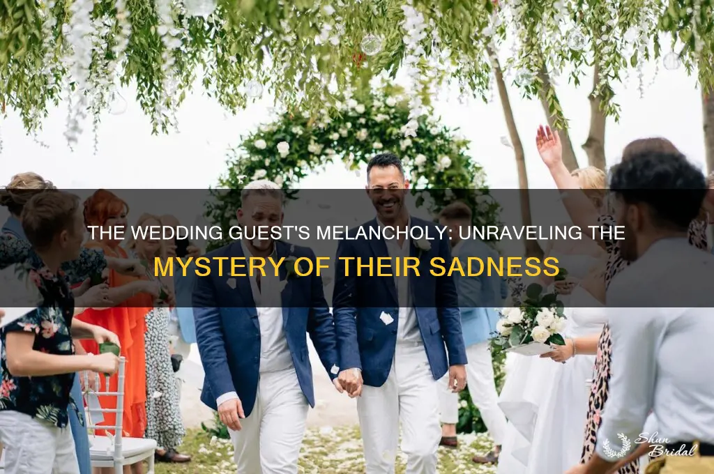 The Wedding Guest's Melancholy Unraveling The Mystery Of Their Sadness
