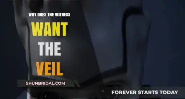 Unveiling the Witness's Motive: Why the Veil is Desired