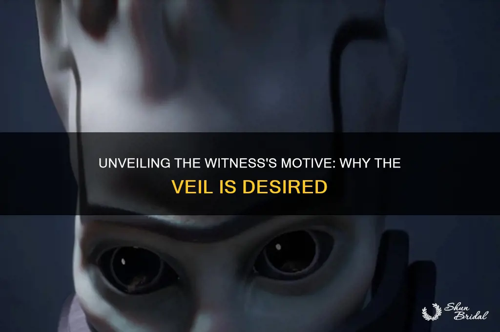 why does the witness want the veil