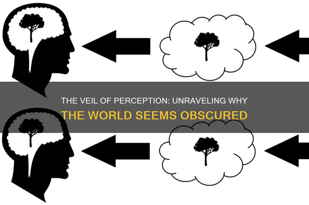 why does the world look like a veil