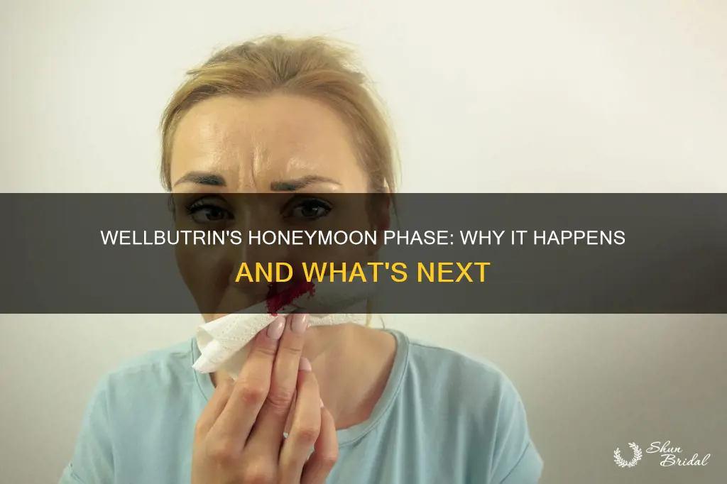 why does wellbutrin have a honeymoon phase