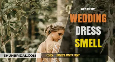 Wedding Dress Smells: What's the Reason?