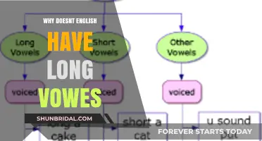 Why English Lacks Long Vowels: Unraveling the Linguistic Mystery