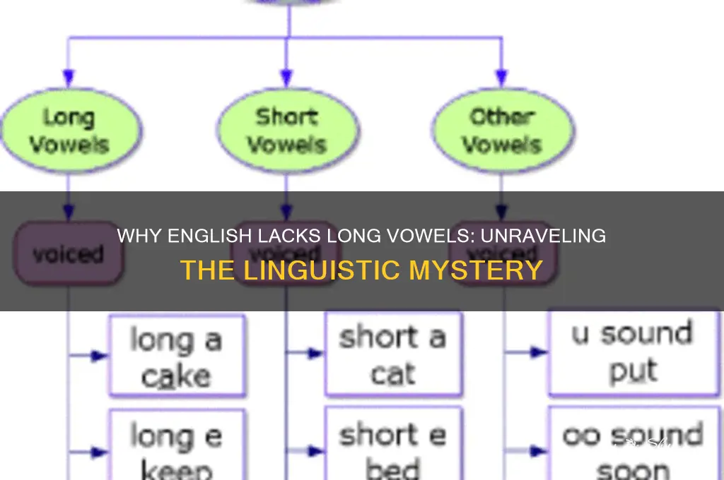 why doesnt english have long vowes