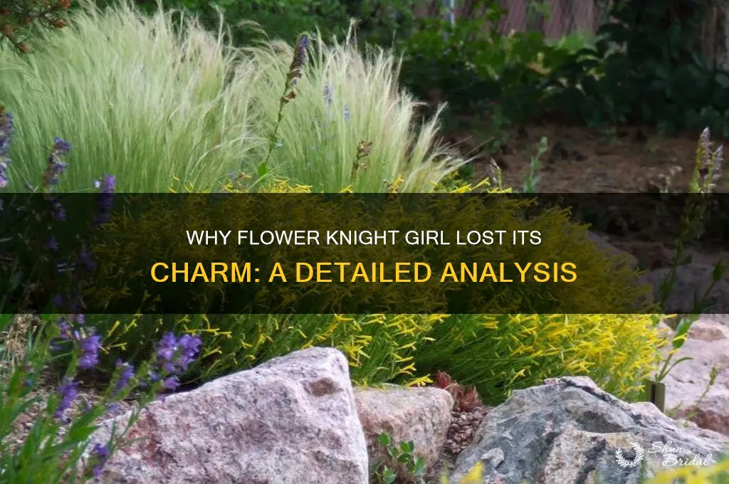 why doesnt flower knight girl work anymore