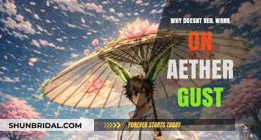 Why Veil Doesn't Counter Aether Gust: Mechanics Explained