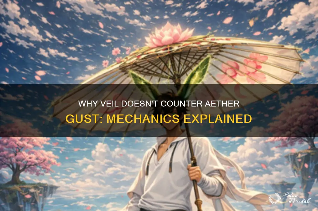 why doesnt veil work on aether gust