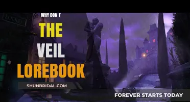 Unveiling the Mystery: Why Don't the Veil Lorebook Exist?