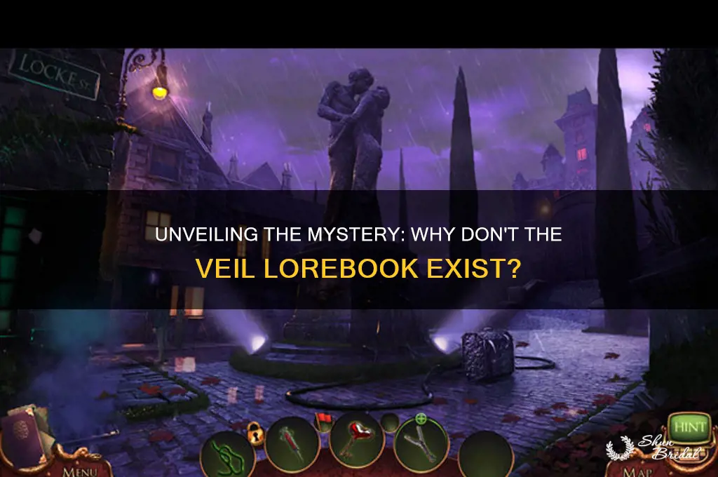 why don t the veil lorebook