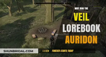 Unveiling Auridon's Secrets: Exploring the Veil Lorebook's Mysteries