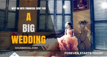 Is a Lavish Wedding Worth the Financial Debt?