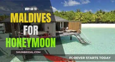 Honeymoon Paradise: Why the Maldives is the Ultimate Romantic Getaway