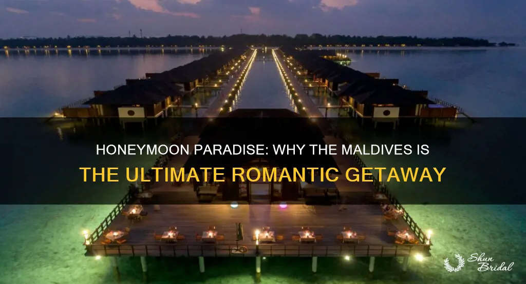 why go to maldives for honeymoon