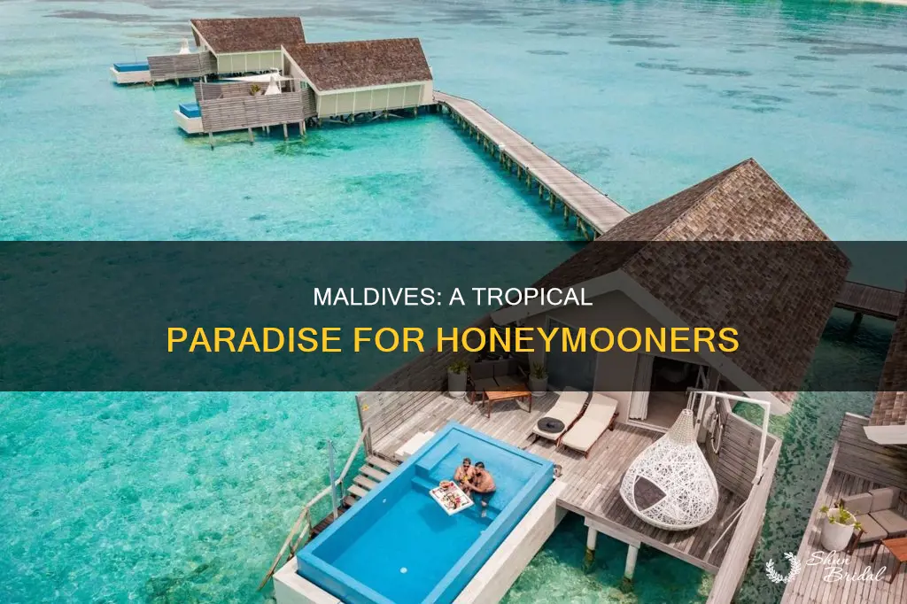 why go to maldives for honeymoon