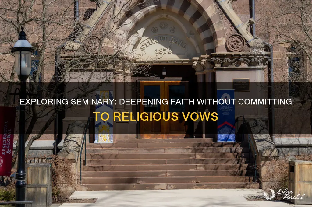 why go to seminary if not taking vows
