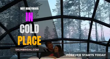 Honeymoon in a Cold Place: A Romantic Adventure