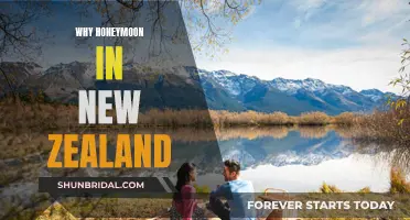 Uncover New Zealand's Charms: The Ultimate Honeymoon Destination