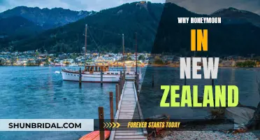New Zealand: A Honeymoon Adventure of a Lifetime