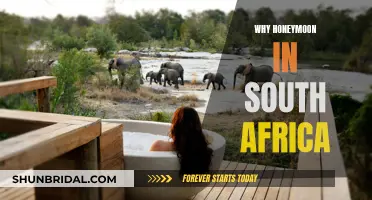 Honeymoon in South Africa: Adventure, Romance, and Natural Wonders