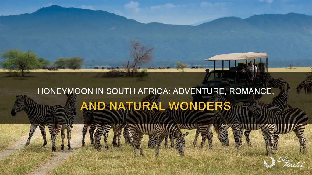 why honeymoon in south africa