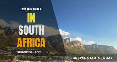 Honeymooning in South Africa: Adventure, Romance, and Wildlife