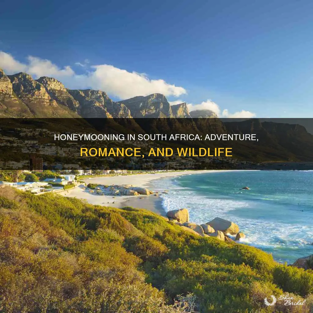 why honeymoon in south africa