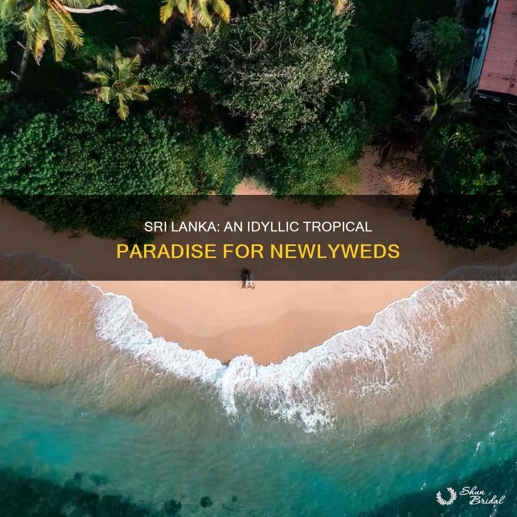 why honeymoon in sri lanka