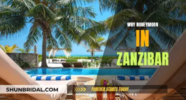 Uncover Zanzibar's Charms: The Perfect Honeymoon Destination