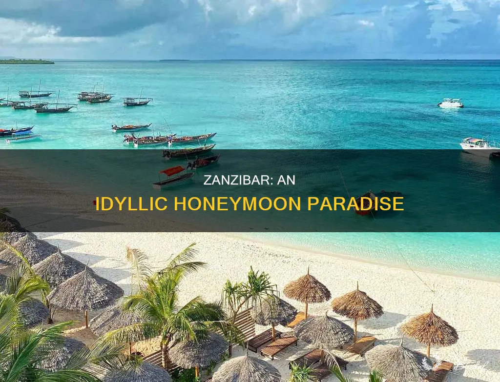 why honeymoon in zanzibar