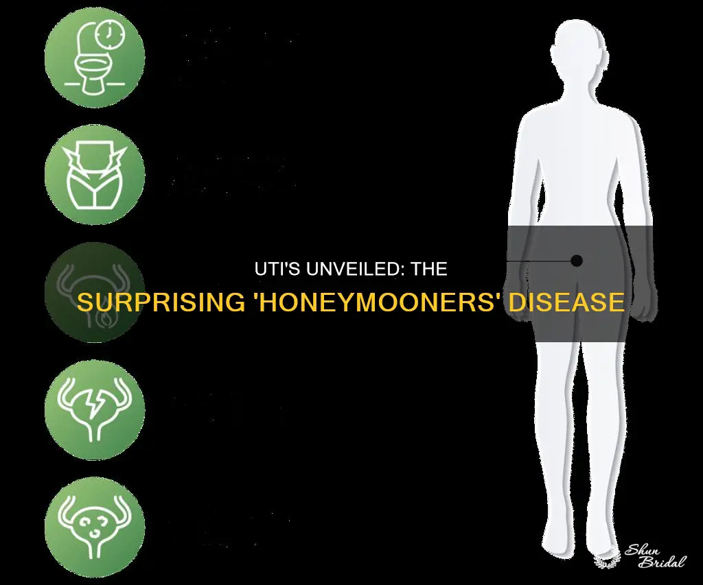 why is a uti called honeymooners disease