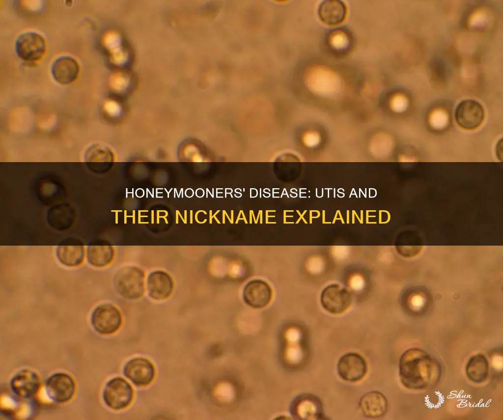 why is a uti called honeymooners disease