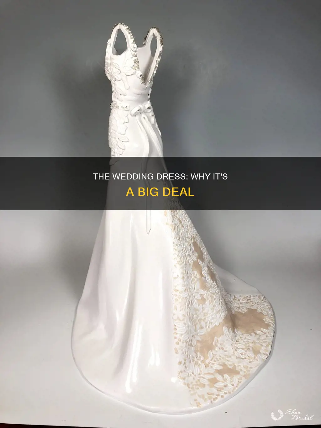 why is a wedding dress so important explained to men