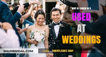 The Canon in D: A Wedding Classic