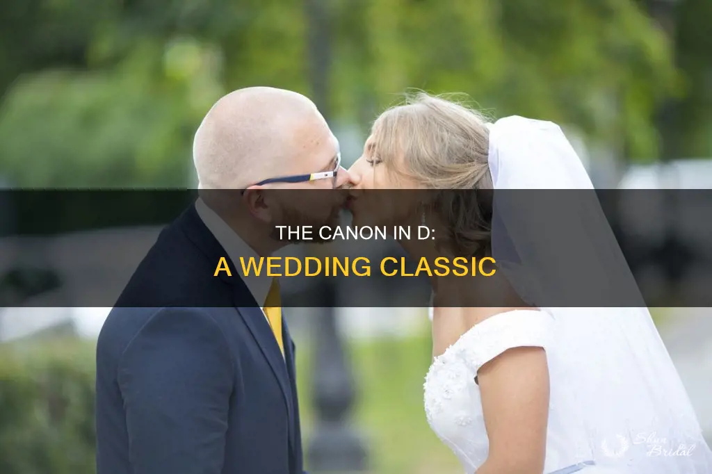 why is canon in d used at weddings