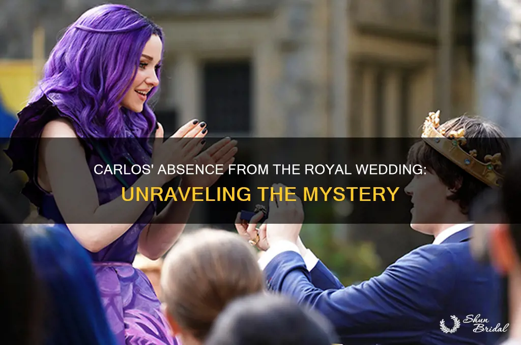 why is carlos not in the royal wedding