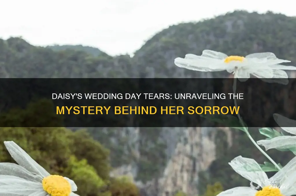 why is daisy so upset on her wedding day