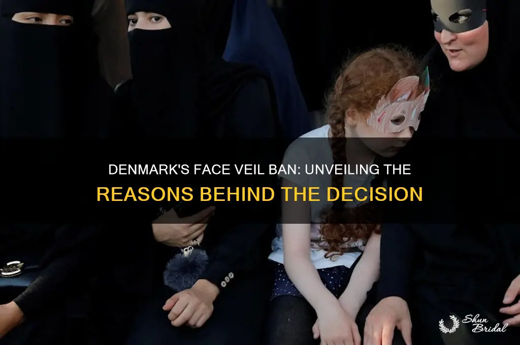 why is denmark banning face veils