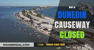 Dunedin Causeway Closure: Reasons, Impact, and Reopening Updates Explained