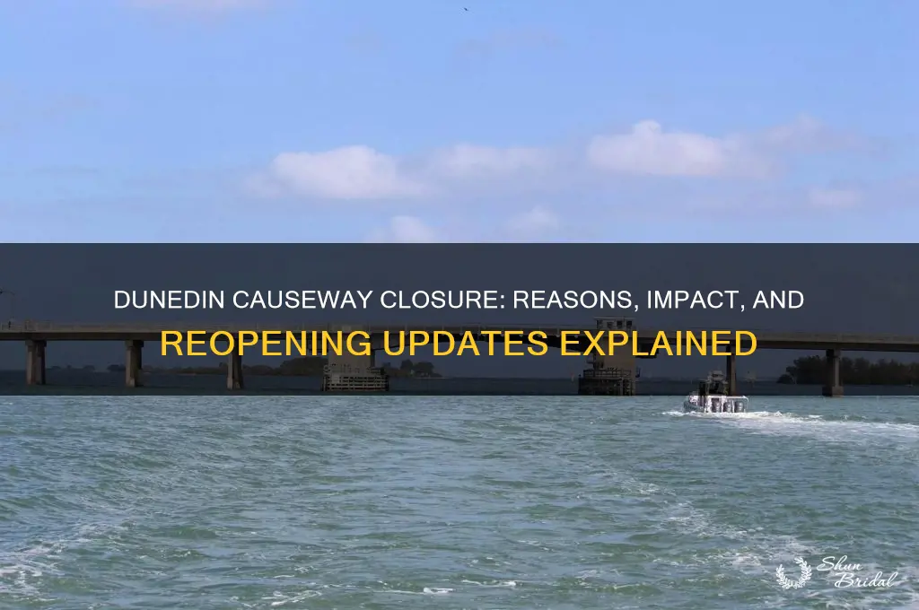 why is dunedin causeway closed