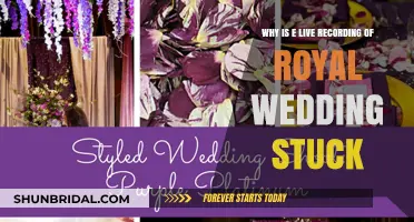 Why the Royal Wedding's Live Recording Suddenly Froze