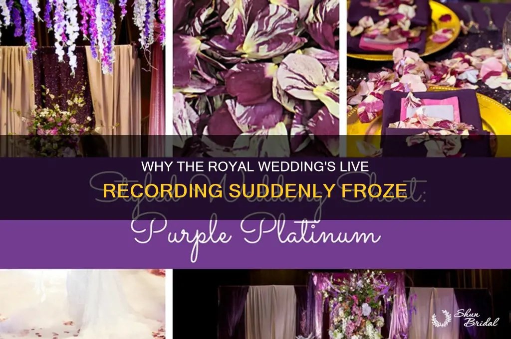 why is e live recording of royal wedding stuck