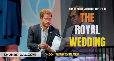 Royal Wedding Snub: Elton John's Absence Explained