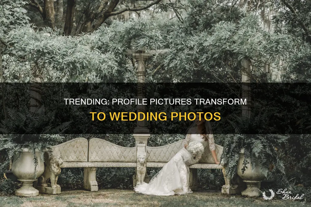 why is everyone changingg profile picture to thei wedding photo