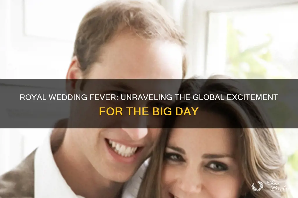 why is everyone so excited for royal wedding