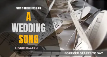 Flightless Bird: A Wedding Song's Lyrical Irony