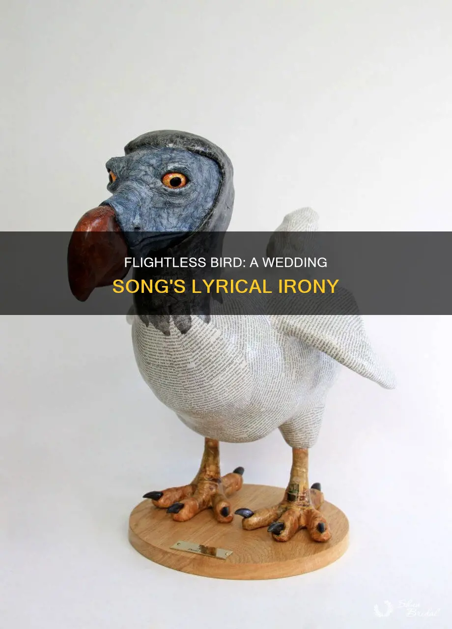 why is flightless bird a wedding song