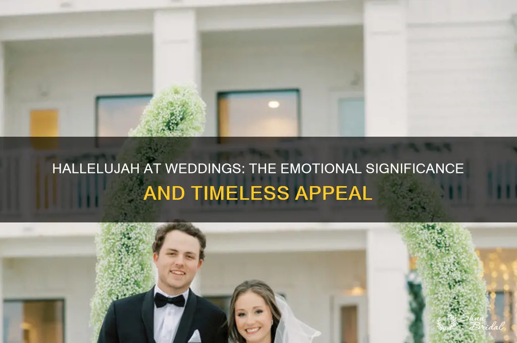 why is hallelujah played at weddings