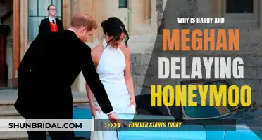 Harry and Meghan's Honeymoon Delay: A Royal Mystery Unveiled