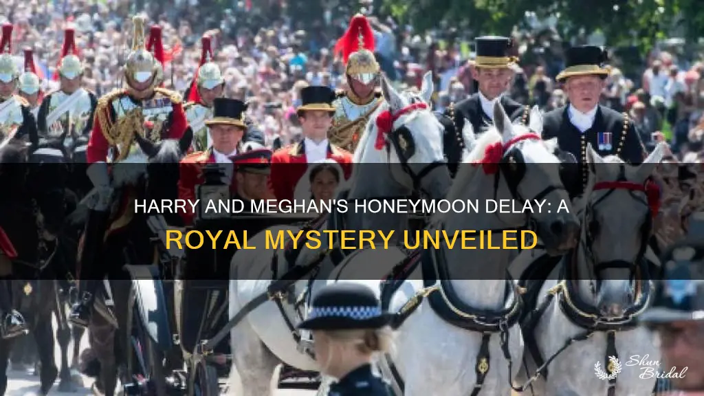 why is harry and meghan delaying honeymoon